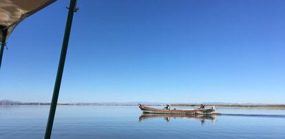 Zona de El Palmar, situado en el interior del Parque Natural de la Albufera.