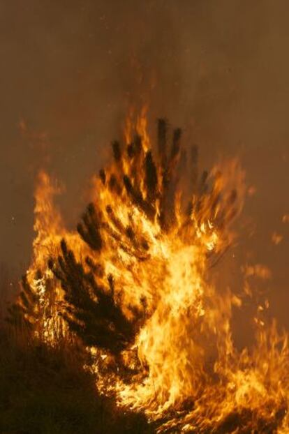 Incendio en el municipio de Baltar, Ourense. 2011,