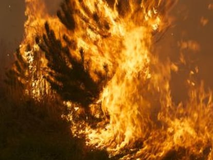Incendio en el municipio de Baltar, Ourense. 2011,