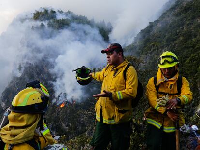 Una brigada de bomberos trabaja para extinguir un incendio en el cerro El Cable, en Bogotá (Colombia), el pasado 26 de enero.