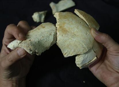 Fósiles de parietal y frontal descubiertos en la actual campaña de excavación de Atapuerca