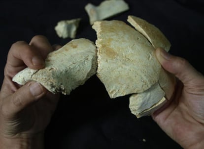 Fósiles de parietal y frontal descubiertos en la actual campaña de excavación de Atapuerca