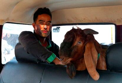 Un hombre, con mascarilla, es fotografiado con una cabra dentro de un automóvil, antes del festival Eid al-Adha, en Yakarta (Indonesia).