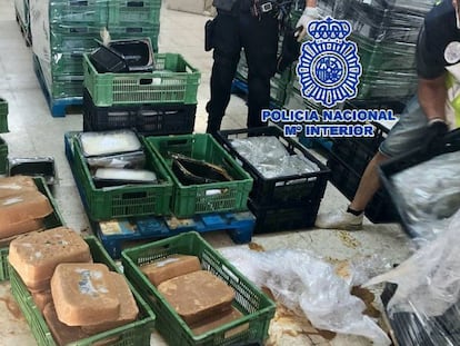 Bloques de comida congelada donde se ocultaba la cocaína.