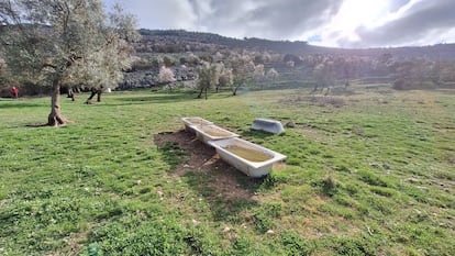 Las bañeras se transforman en bebederos para la ganadería, como en esta finca de Alfarnate (Málaga), junto al camino de ascenso al Pico de Vilo.