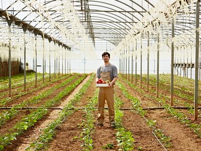 Avances hacia la agricultura sostenible en España