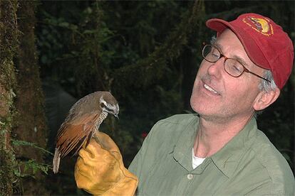 Bruce Beehler, uno de los miembros del equipo investigador, contempla una hembra de una de las especies de pájaro del paraíso descubiertas en Papua.