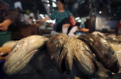 Mercado de pescados de Mahachai, en Tailandia.