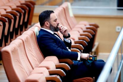 Santiago Abascal en una sesión de la Asamblea de Madrid.