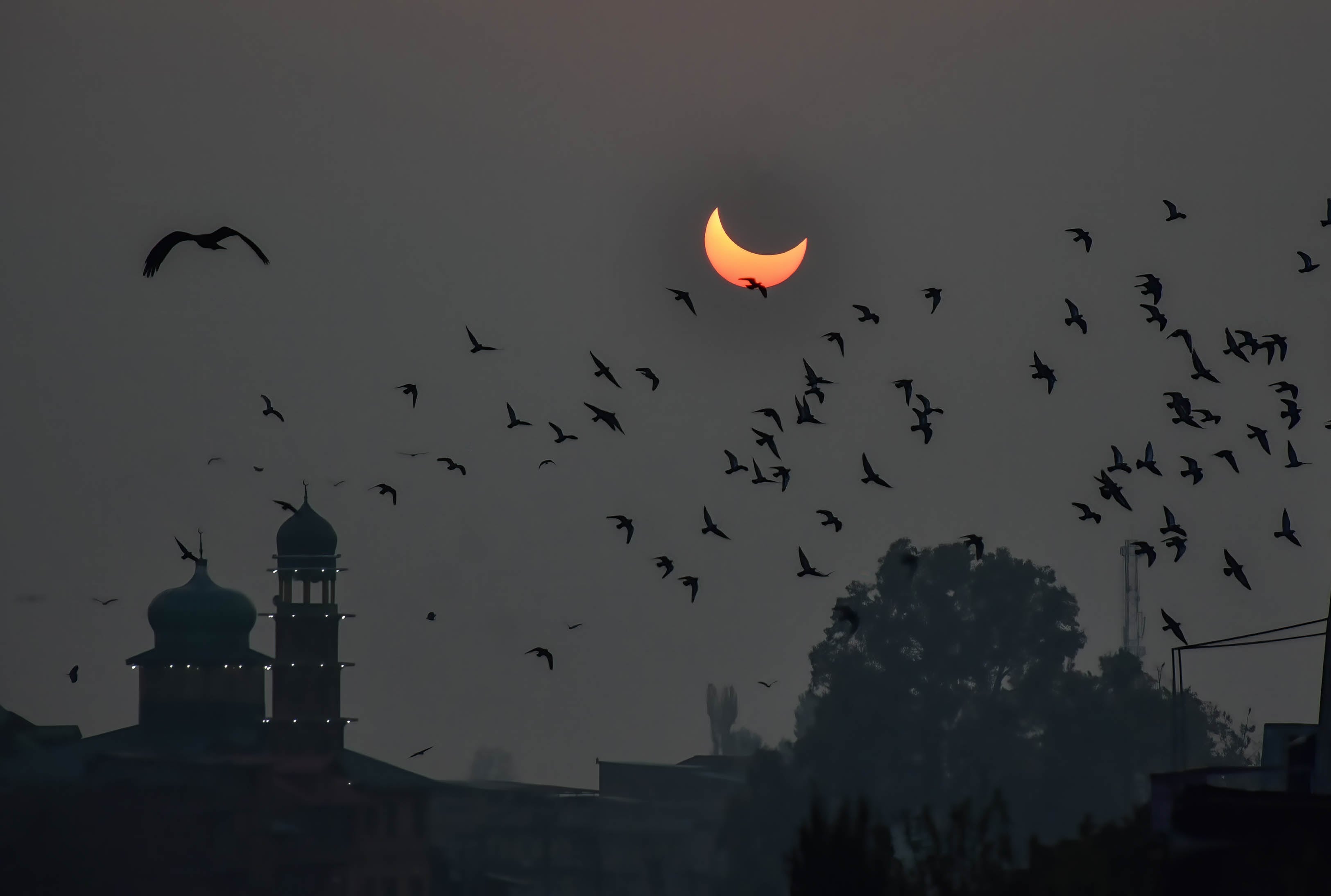 Así es el proyecto que ‘escuchará’ el eclipse de Sol: ¿qué se oye cuando se apaga el mundo?
