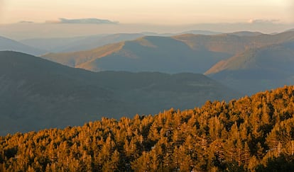 La Sierra de la Demanda-Pinares ofrece rutas aptas para todo tipo de caminantes y ciclistas. Cuesta decidirse por una. Los colores del bosque son una buena recompensa... incluso si se da mal la recolección de setas.