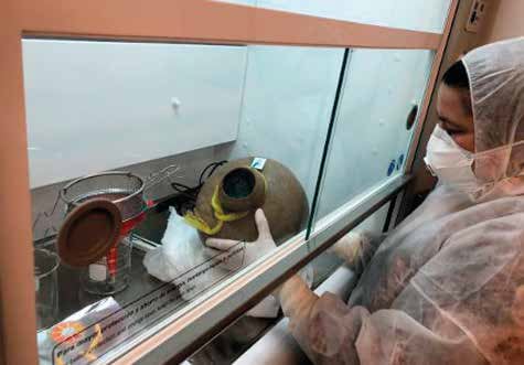 Proceso de apertura de una botija en el laboratorio