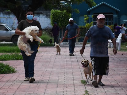 Personas llevan a sus perros a la vacunación de la Jornada Nacional Antirrábica Canina, en Campeche (Campeche), en 2021.