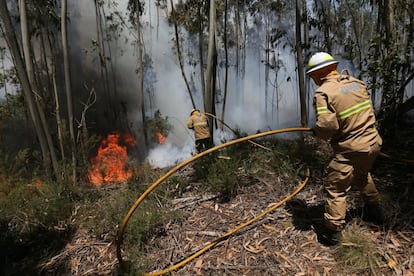 Varios miembros de la Guardia Nacional portuguesa combaten el fuego en Alto da Louriceira (Portuga).