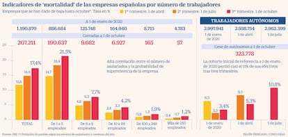 Supervivencia empresas