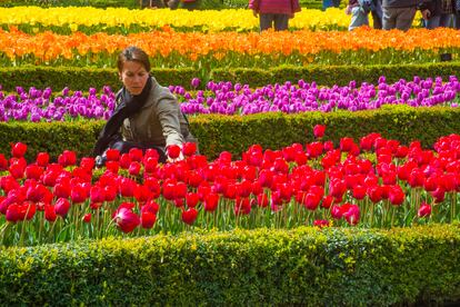 Una mujer visita el Real Jardín Botánico de Madrid.