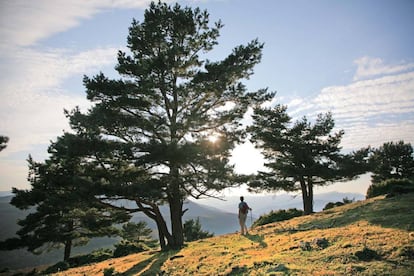 La sierra de Cebollera es el único espacio riojano con distinción de parque natural.