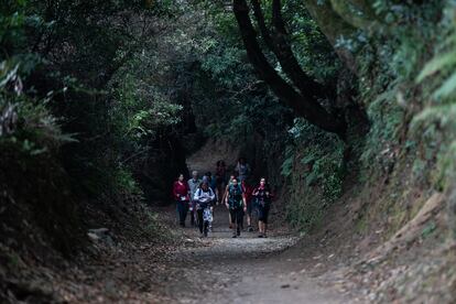 Peregrinos que realizan el camino de Santiago en el verano de la covid-19.