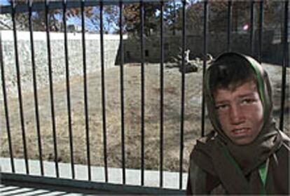 Un niño afgano, de pie, delante de la jaula donde vivía Marjan