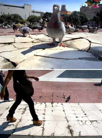 La sabiduría popular dice de un suelo que está limpio que en él se puede comer sopa. No es el caso de la plaza de Catalunya de Barcelona. Y no tanto por sucio como por agrietado. El caldo acabaría en el subsuelo. Véase arriba el tamaño de las roturas, comparado con una paloma, dueña del espacio; abajo, una visión general de la situación.