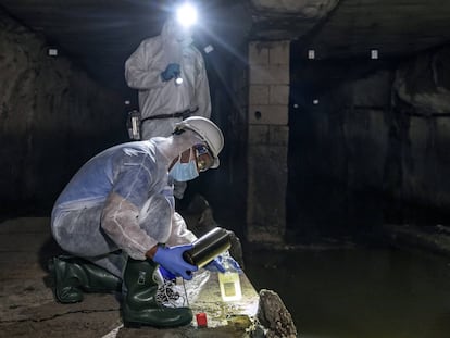 Los técnicos recogen muestras de aguas fecales en el colector norte de la ciudad de Valencia.