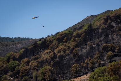 Un helicóptero participa en las labores de extinción en Colera, este sábado.