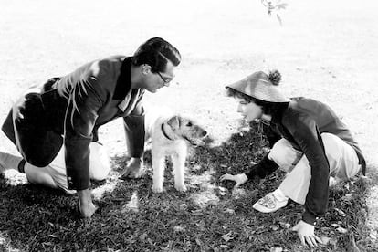 

	'La fiera de mi niña' (Howard Hawks, 1938).

	Un paleontólogo despistado, una joven sofisticada y extravagante, un leopardo que atiende al nombre de Baby, el esqueleto de un brontosaurio y un fox terrier llamado George que se dedica a enterrar huesos, en particular de brotonsaurios. Agítense bien todos los ingredientes y tendremos como resultado una de las comedias más vertiginosas del cine clásico. El fox terrier en realidad se llamaba Skippy y gozó de una breve pero intensa carrera cinematográfica.