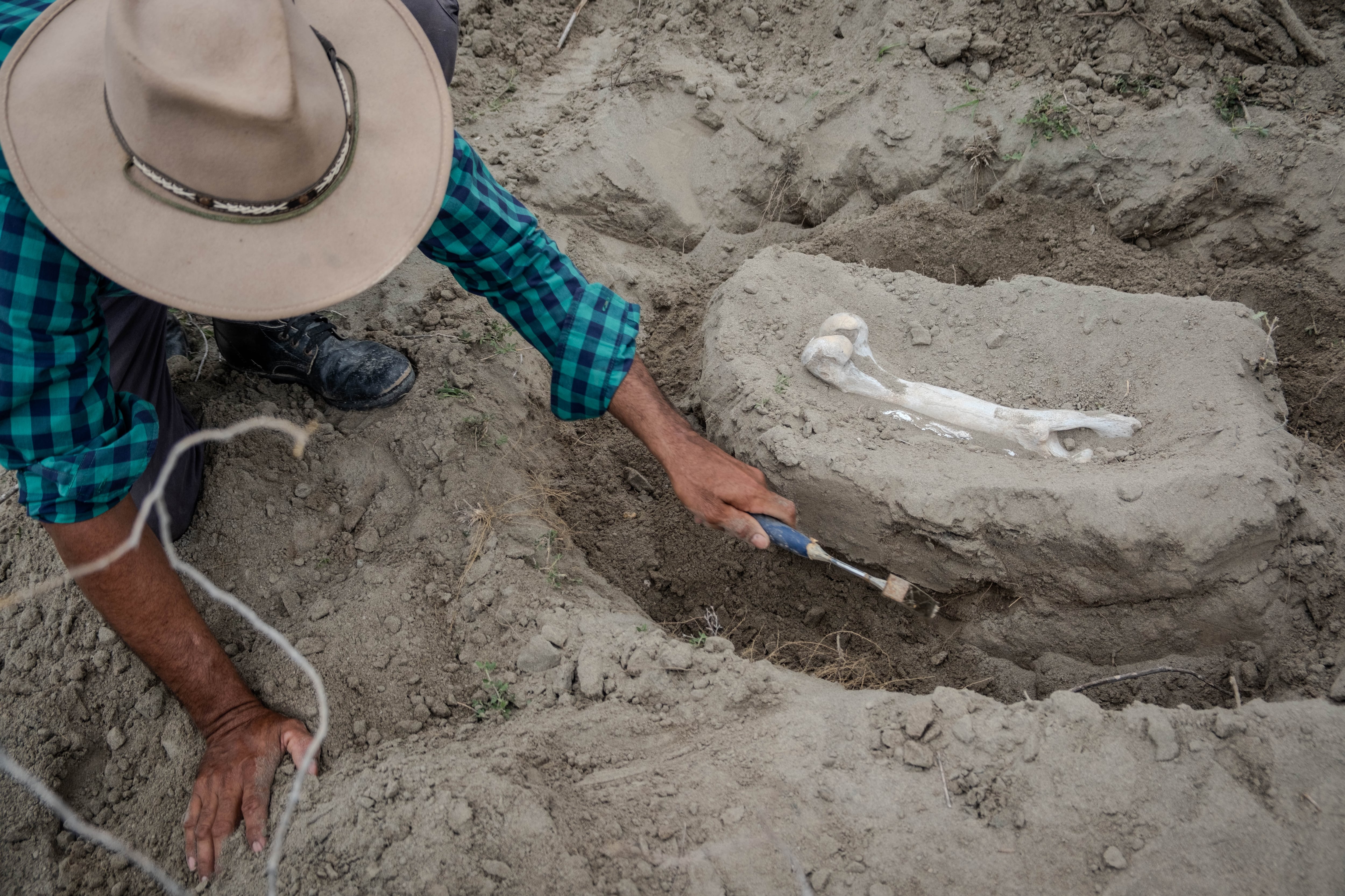 César Perdomo realiza un ejemplo de excavación fósil, durante la salida de campo, en el encuentro de Museos y Colecciones Geológicas. 