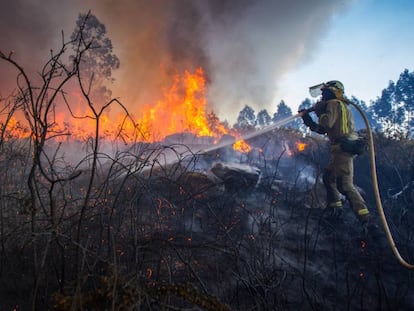 Incendio forestal en Rianxo (A Coruña) a finales de marzo. 