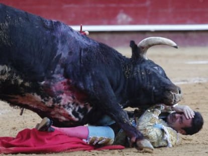 El torero Enrique Ponce se protege la cara al caer al suelo cogido por su primer toro en la corrida de este martes en Valencia.  