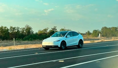 Imagen del futuro Tesla Model Y barato