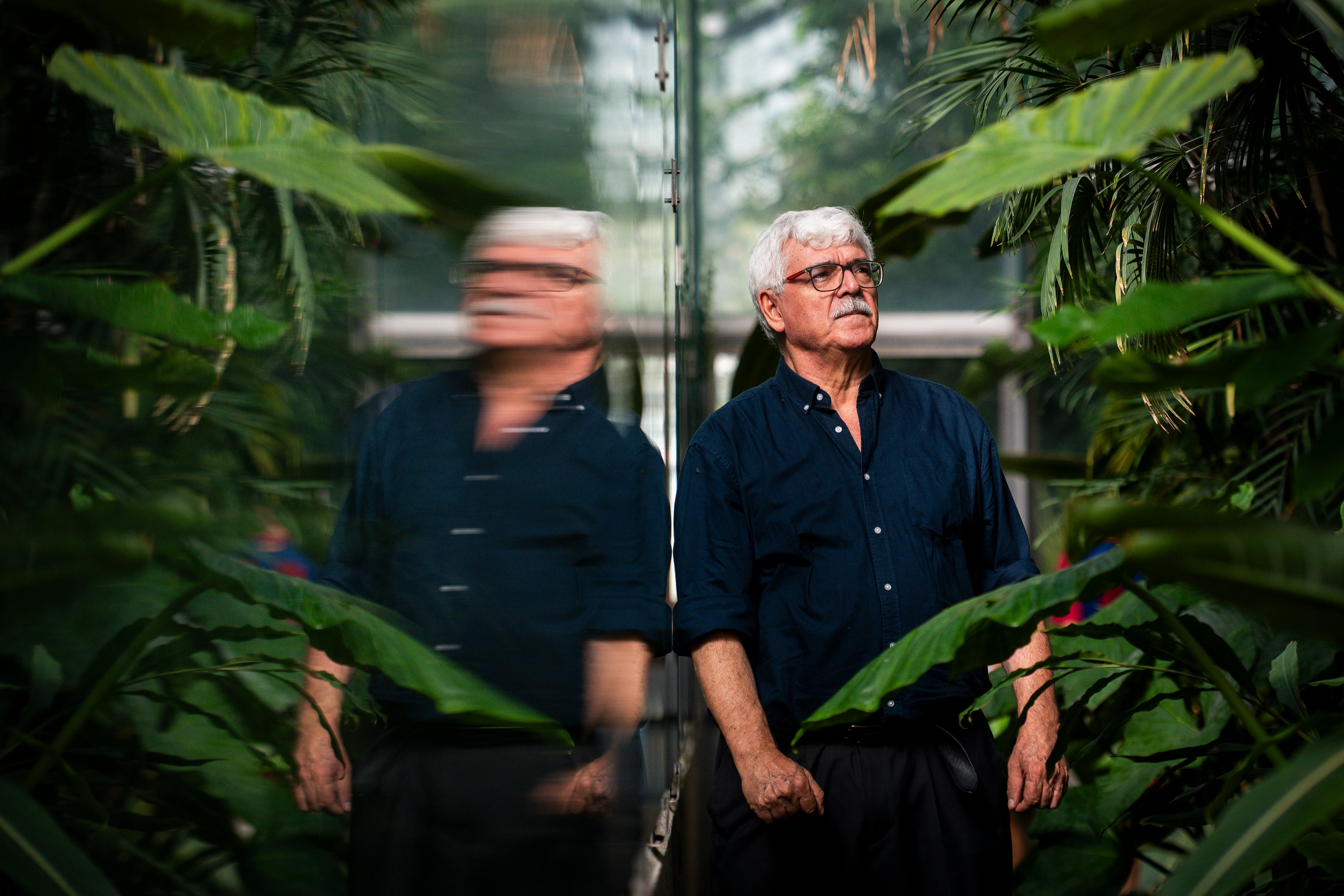 El botánico José Luis Fernández-Alonso en un invernadero del Real Jardín Botánico.