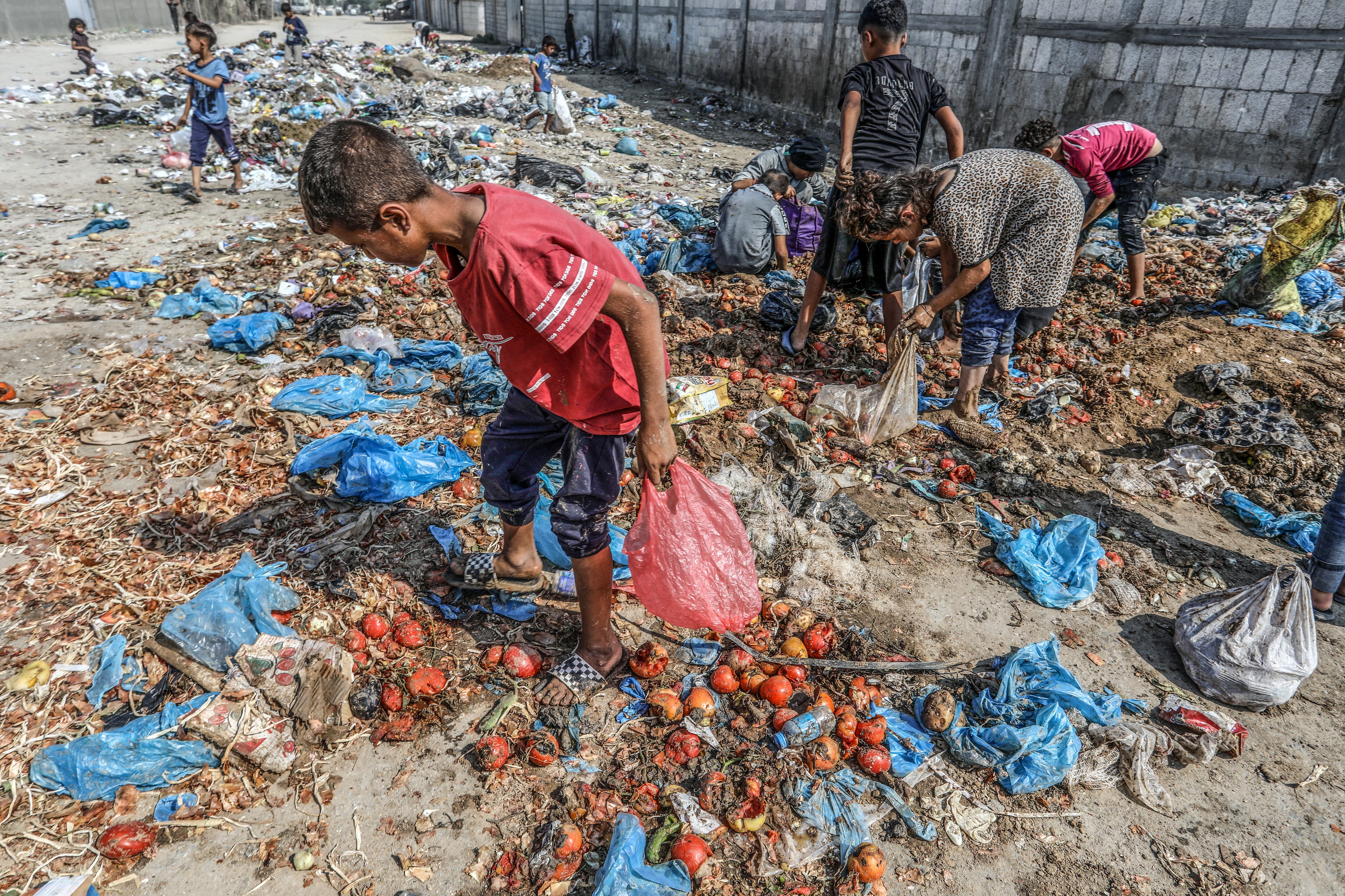 Un mundo en conflicto y con una emergencia climática supera aún las cifras de hambre previas a la pandemia 