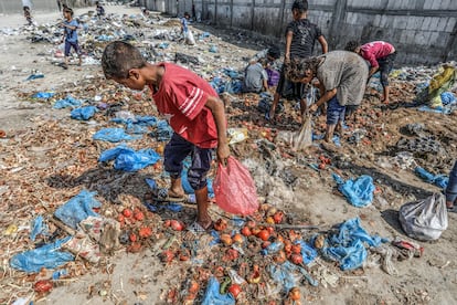 Niños palestinos