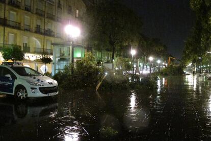 Arbres caiguts a Tarragona.