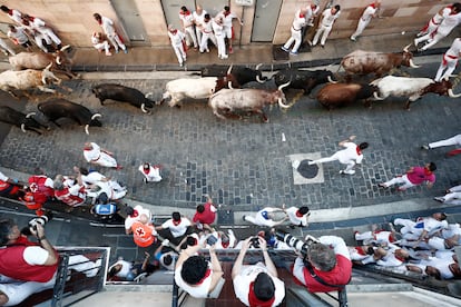 Los toros de Jandilla en los últimos metros de la Cuesta de Santo Domingo. 