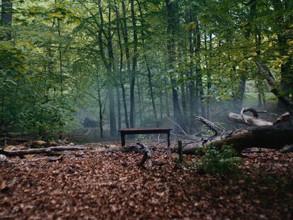 Comprometidos con el futuro del planeta