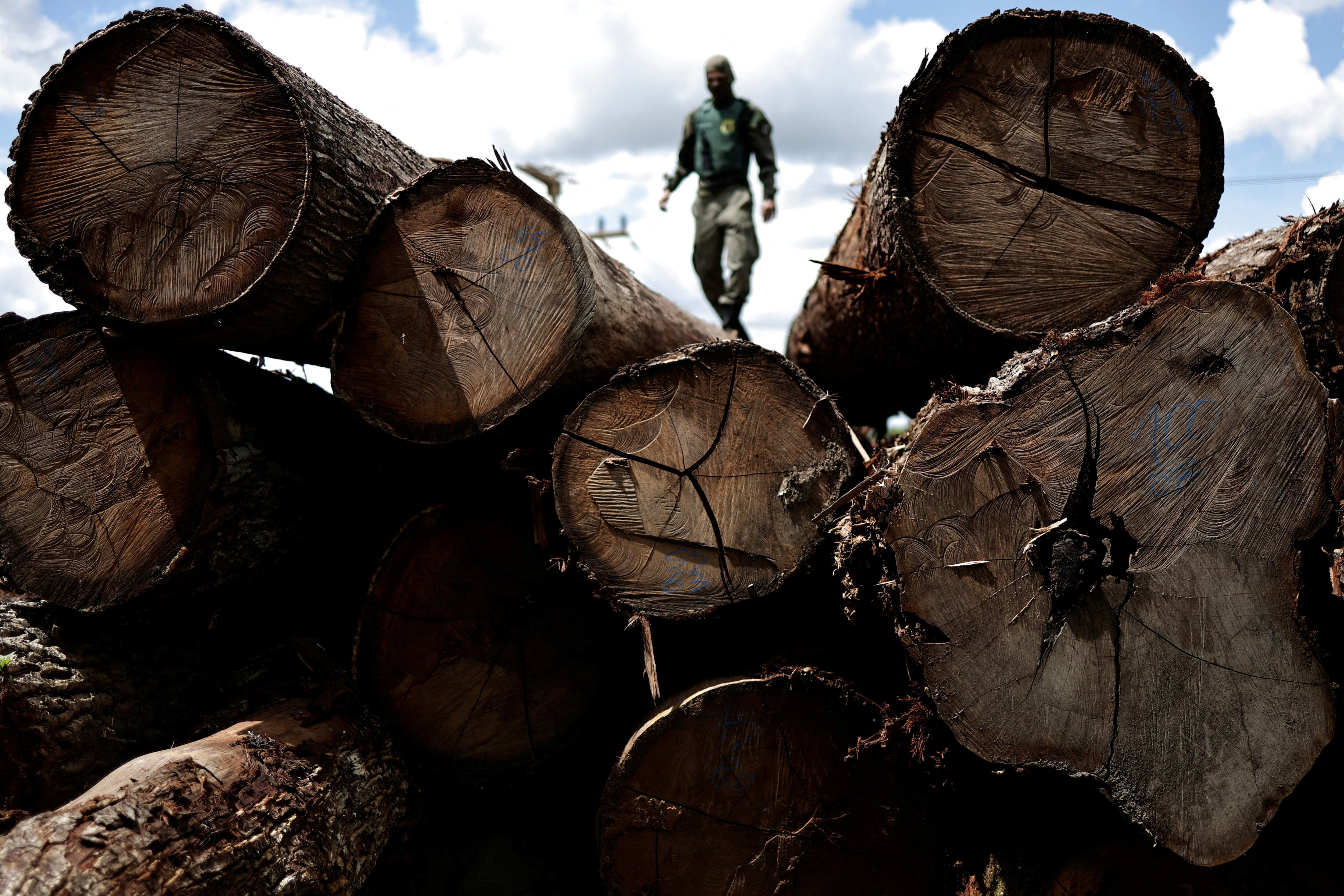 Madera decomisada por la agencia ambiental IBAMA de Brasil, en un aserradero ilegal, en enero de 2023.