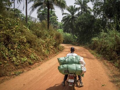 Un motorista se dirige a Kabala, una pequeña ciudad del norte de Sierra Leona, para vender los repollos cosechados en una aldea cercana.