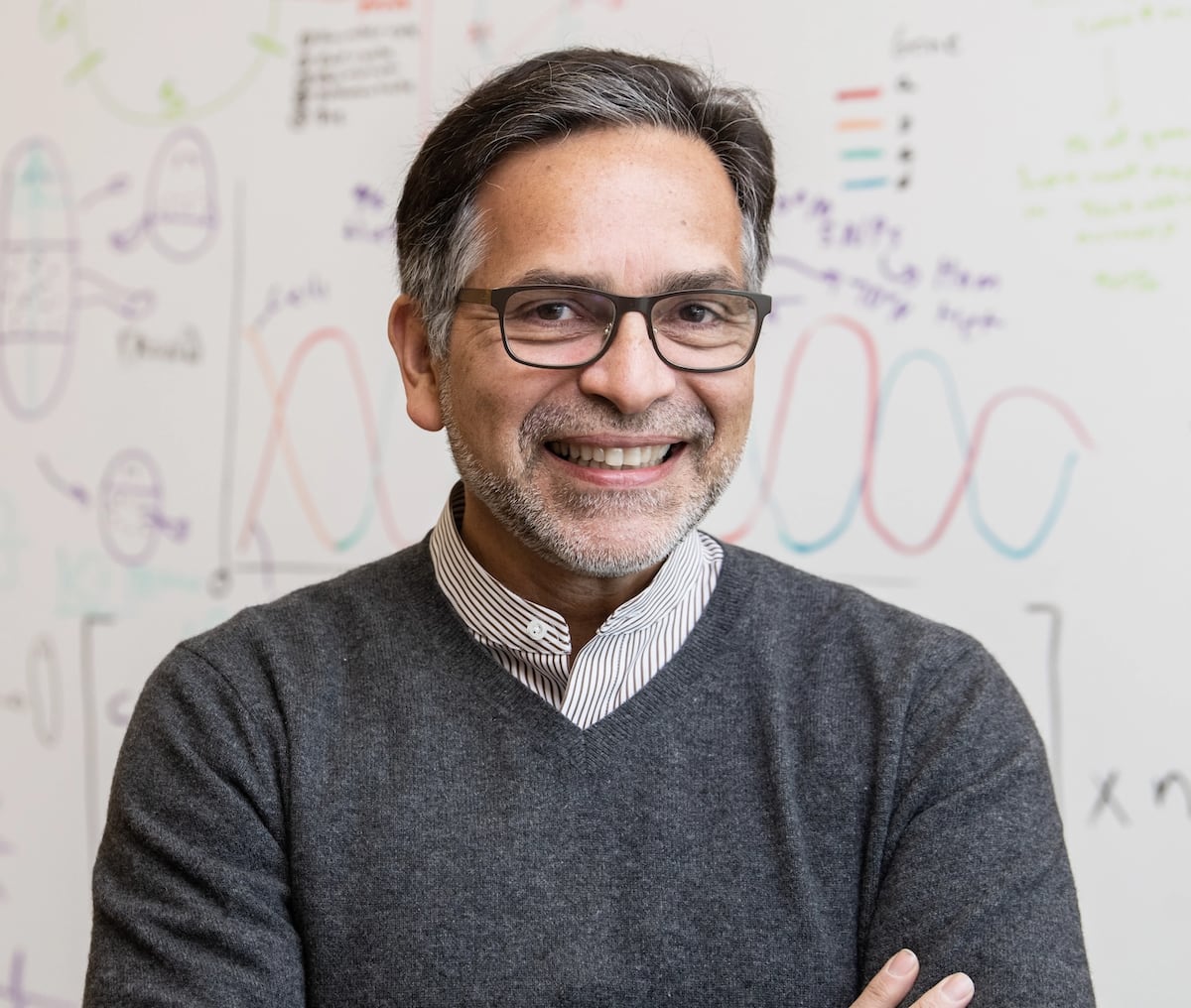 Alejandro Sánchez-Alvarado, el científico que quiere desvelar los secretos del gusano inmortal