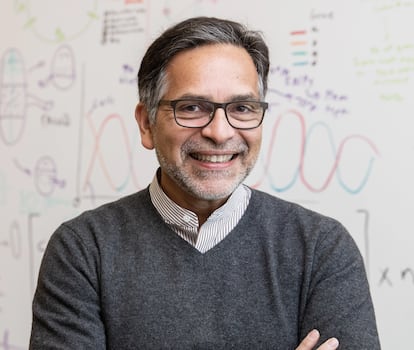 Alejandro Sánchez-Alvarado