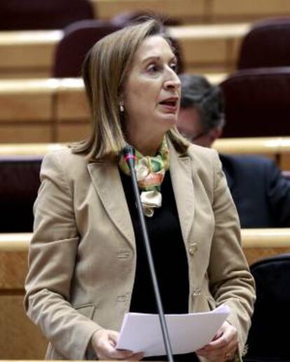 La ministra de Fomento, Ana Pastor, durante su intervención en la sesión de control al Ejecutivo hoy en el pleno del Senado.