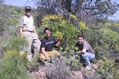 Eliécer Pérez, Carlos Machado y Javier López, en el campo con la planta.