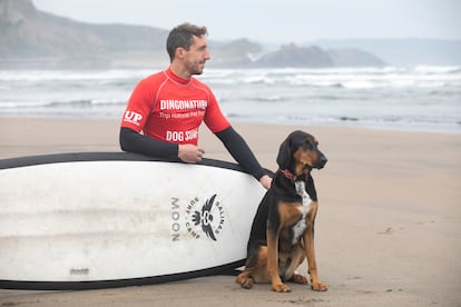 Salinas, Asturias. Referente del surf en nuestro país en general, y en Asturias en particular, es otro de los destinos ineludibles para novatos. Las constantes olas expelidas por el Cantábrico se harán con casi todas las energías del principiante, aunque si no es la primera jornada de estancia, seguro que los más avispados se las ingeniarán para encontrar un momento de descanso y tomar una buena sidra en uno de los restaurantes marineros de la zona, actividad casi tan satisfactoria como cabalgar una buena ola. 