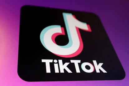 FILE PHOTO: The TikTok app logo is seen in this illustration taken January 16, 2025. REUTERS/Dado Ruvic/Illustration/File Photo