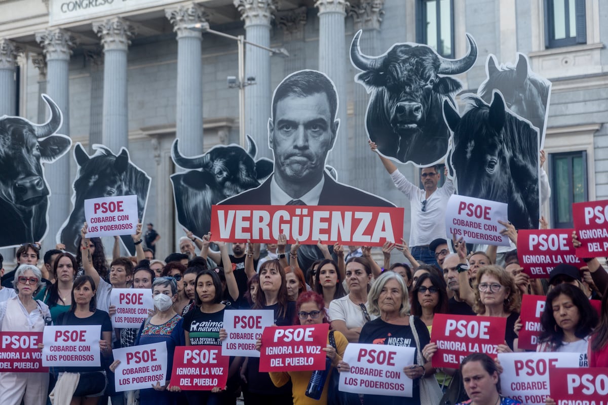 El debate sobre la tauromaquia, una batalla cultural y política que divide a la izquierda