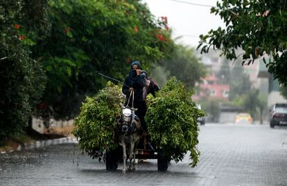 Una mujer palestina conduce un carro tirado por un burro bajo la lluvia en Gaza.