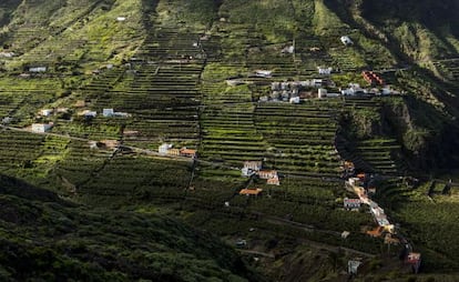 Panorámica de Valle Bajo en el municipio de Hermigua, en La Gomera.