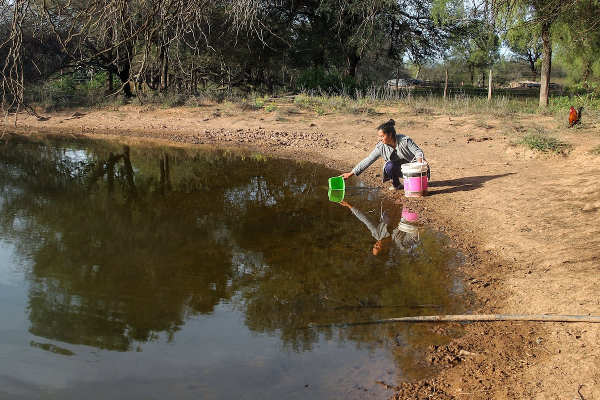 Un laboratorio de ideas rural para la falta de agua en Argentina | Planeta  Futuro | EL PAÍS, image size:1200x800