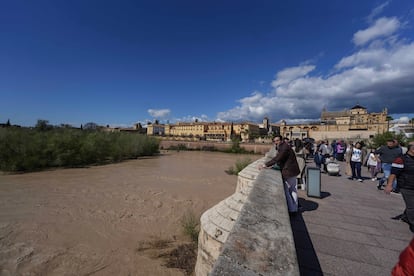 Vista del río Guadalquivir, este sábado a su paso por Córdoba, después de haber subido por encima de los dos metros.